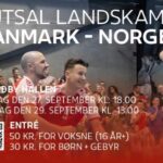 Futsal landskamp