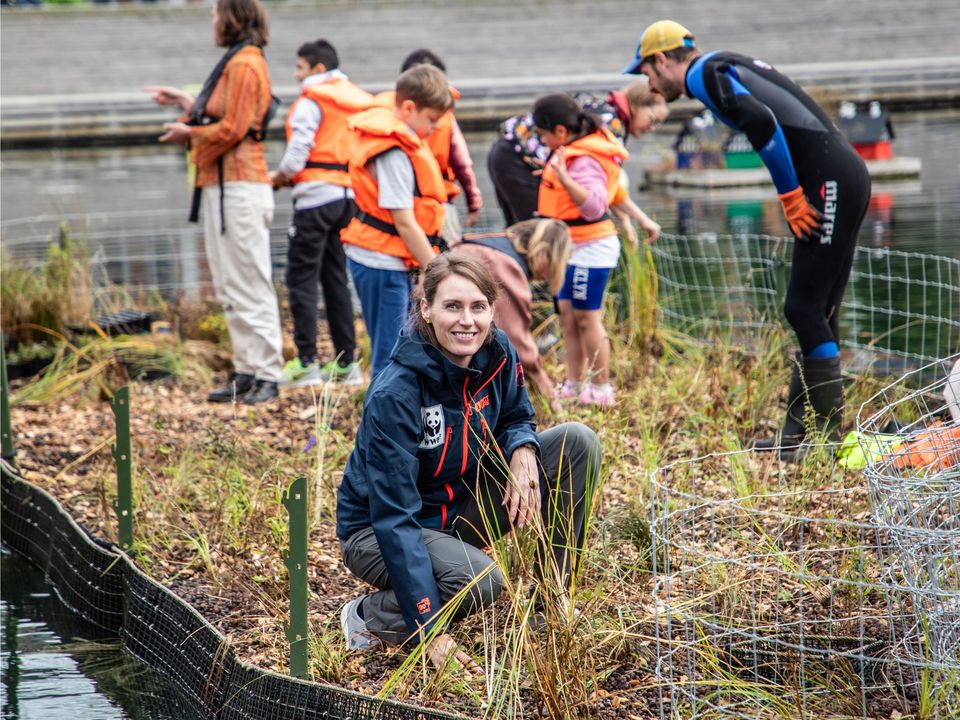 Flydende haver skal fremme biodiversiteten i Københavns havn