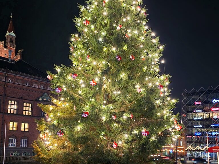 Juletræerne tændes i hovedstaden: Kom i julestemning på Frederiksberg og Københavns Rådhusplads